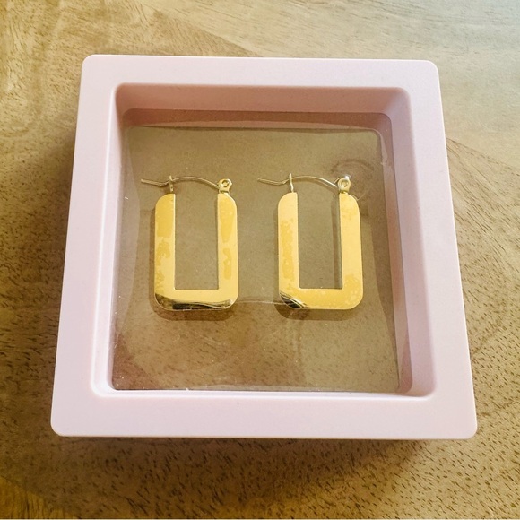 LALA Gold Hoop Earrings in Pink Display Case - Picture 8 of 8